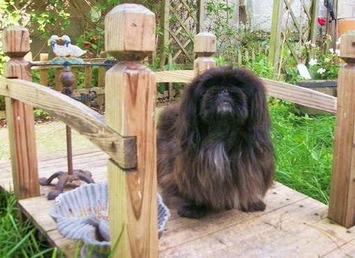 Black pearl Of betty home