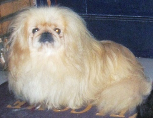 Bryan white Of betty home